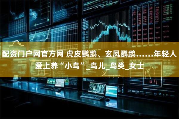配资门户网官方网 虎皮鹦鹉、玄凤鹦鹉……年轻人爱上养“小鸟”_鸟儿_鸟类_女士
