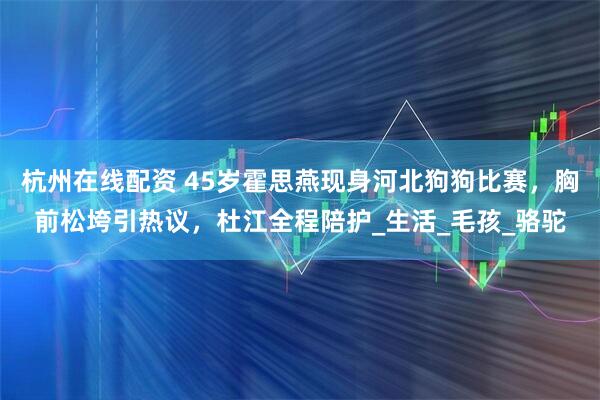 杭州在线配资 45岁霍思燕现身河北狗狗比赛，胸前松垮引热议，杜江全程陪护_生活_毛孩_骆驼